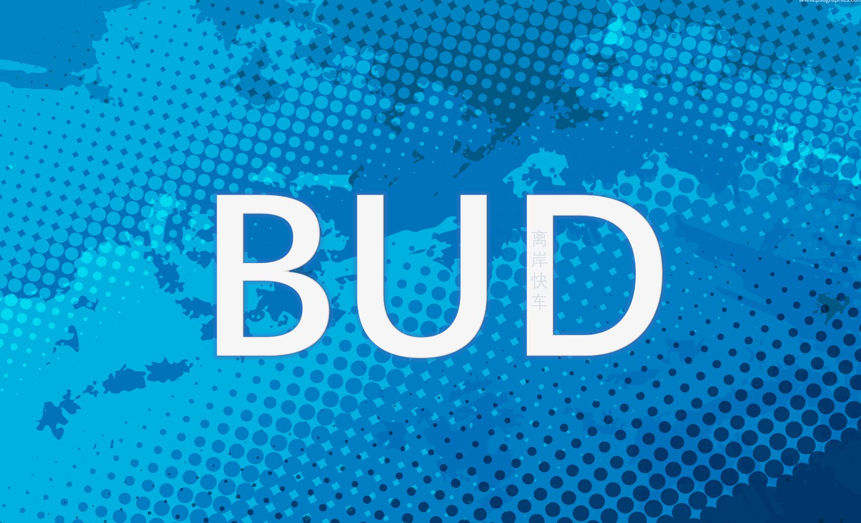 BUD專項(xiàng)基金